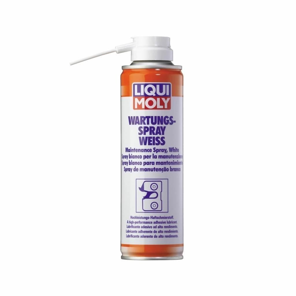 image_1080-888 Liqui Moly Kapı Kilit Yağlayıcı ve Bakım Spreyi 250 ML (3075) - Görsel 1